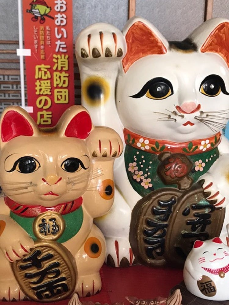 ビジネス旅館 清香荘 大分