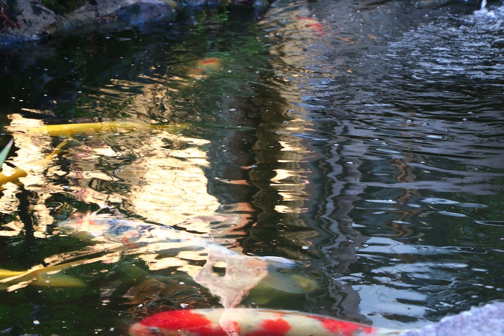 海喜荘 大分