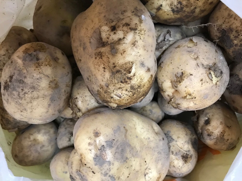 しんきや旅館 大分