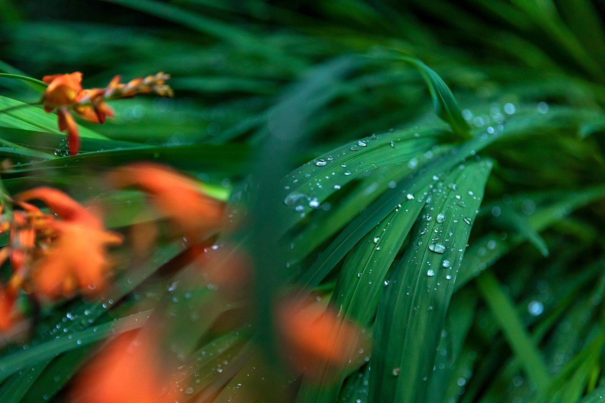 ゆふいん由布茶寮 大分