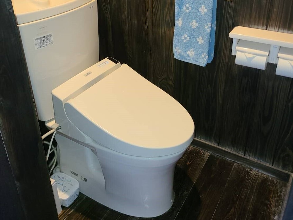 壁湯天然洞窟温泉 旅館福元屋 大分