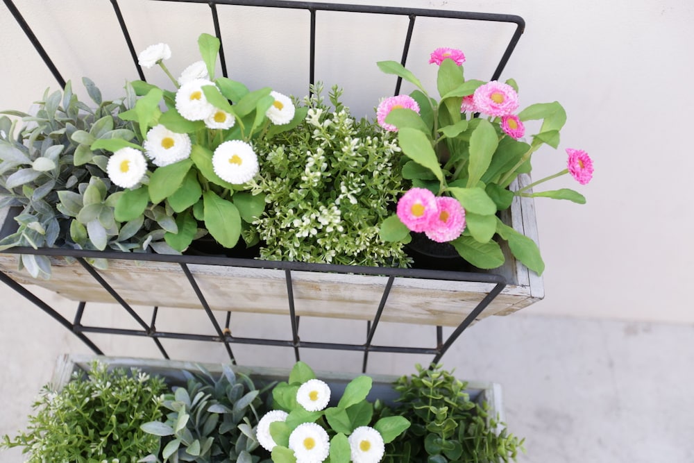 カサブランカ ゲストハウス 長崎