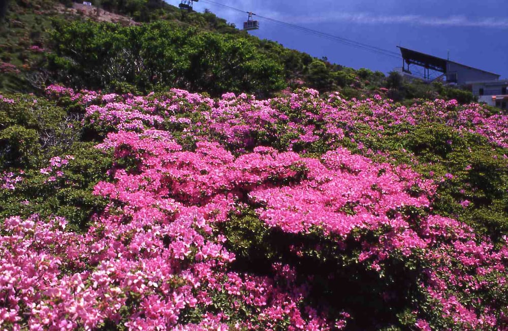 雲仙宮崎旅館 長崎