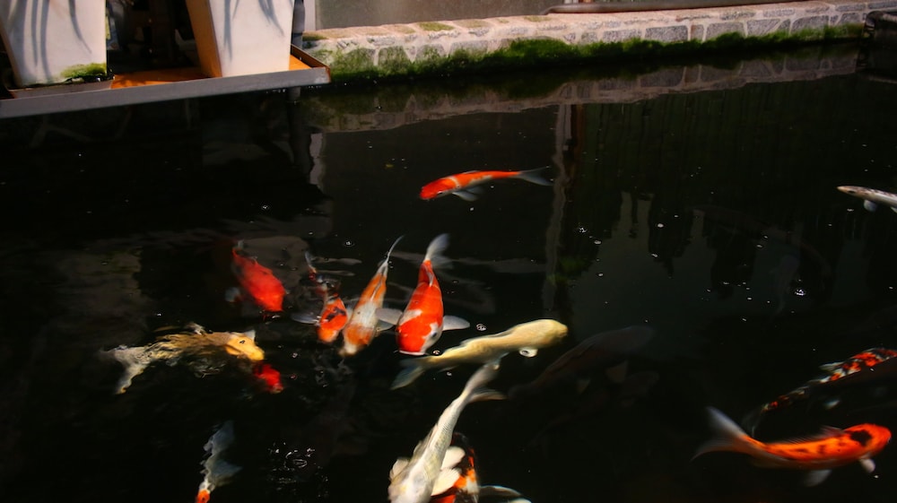 奥居旅館 長崎