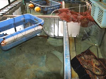 和風ペンション 壱岐牧場 長崎