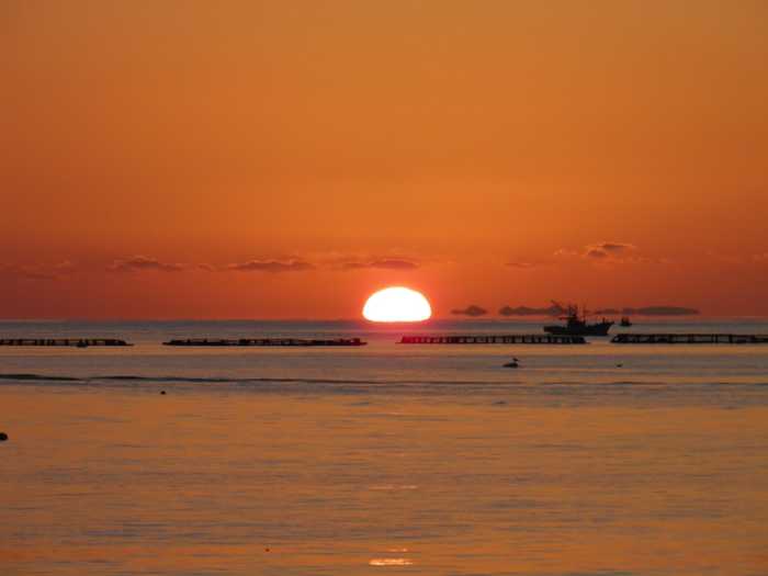 小浜温泉 つたや旅館 長崎