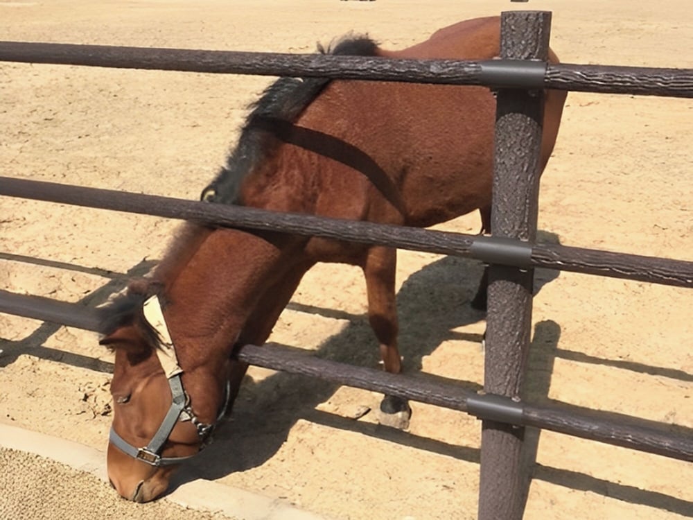 東横INN対馬比田勝 長崎