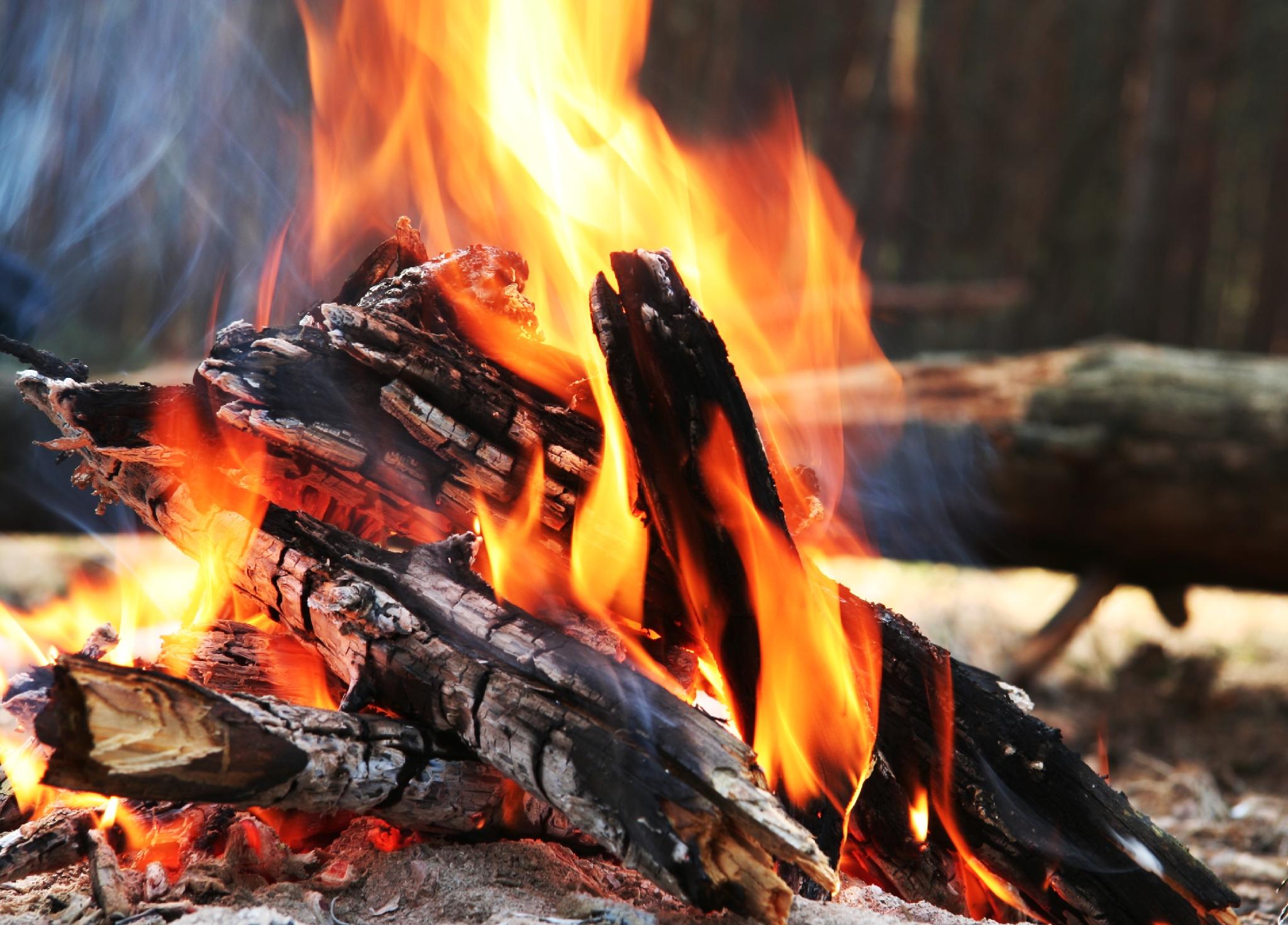 めぐりめぐらす 長崎