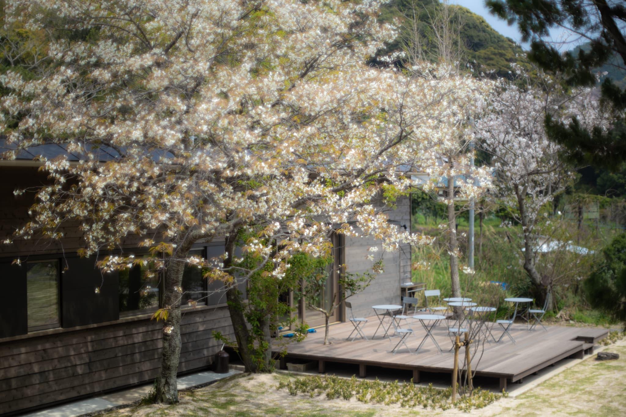 めぐりめぐらす 長崎