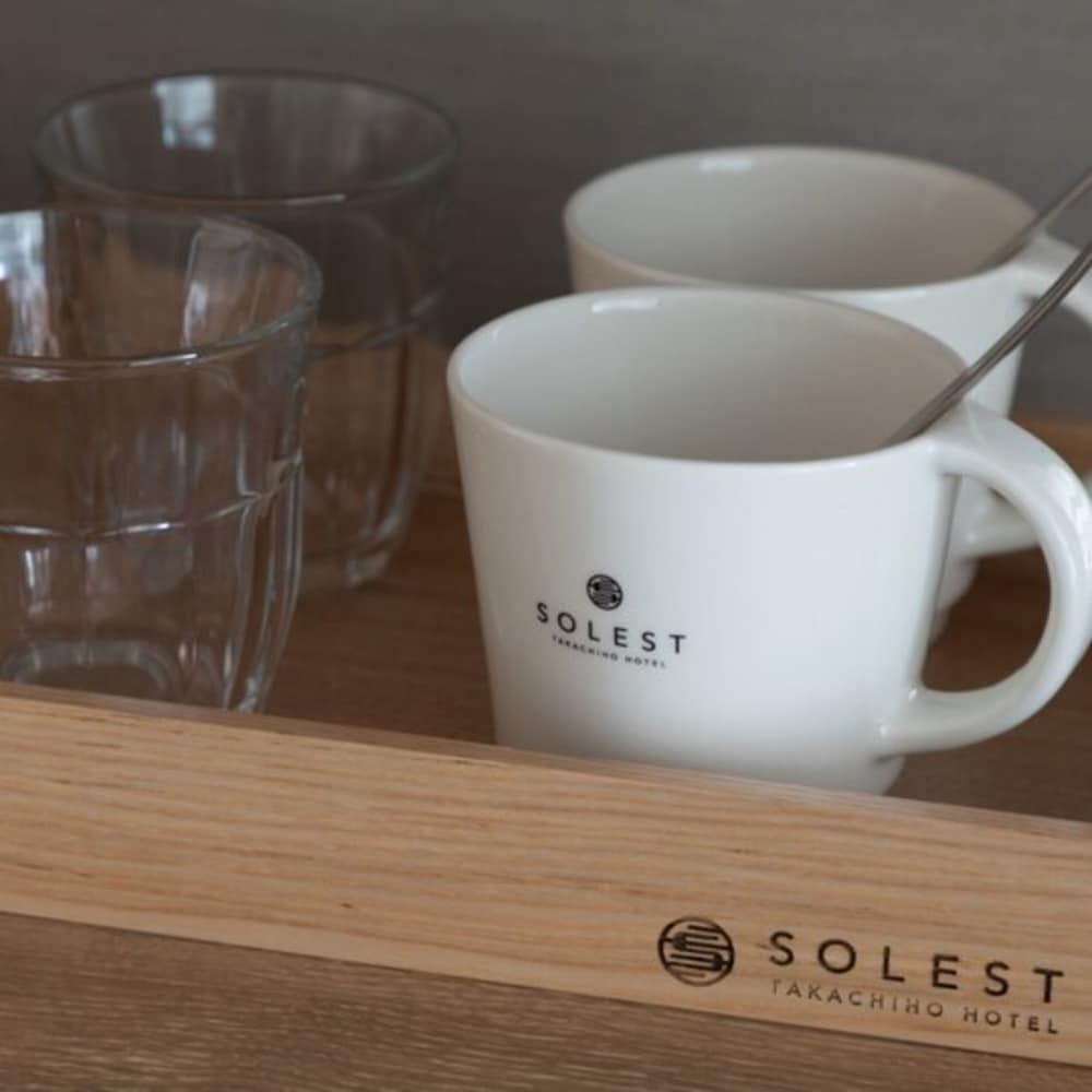 ソレスト高千穂ホテル 宮崎