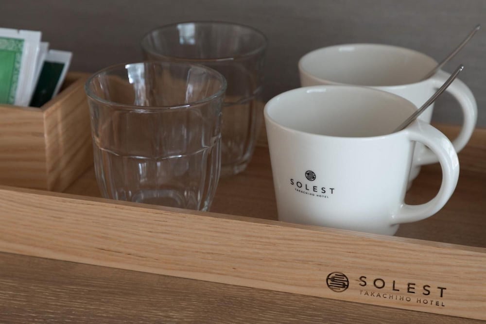 ソレスト高千穂ホテル 宮崎
