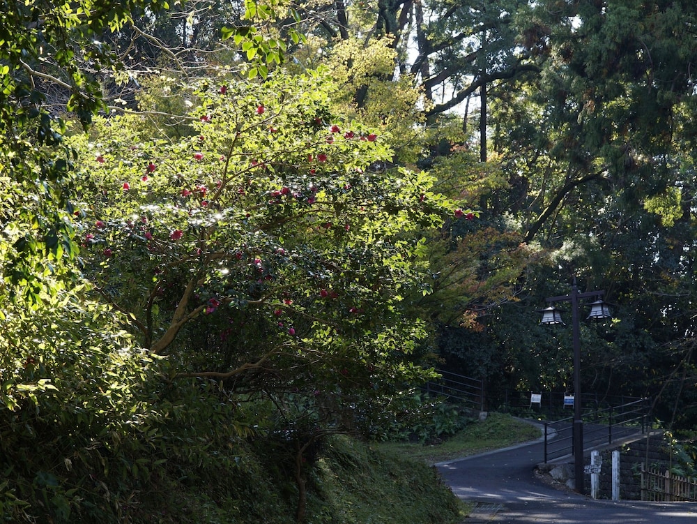 アパホテル〈宮崎延岡中央〉 宮崎