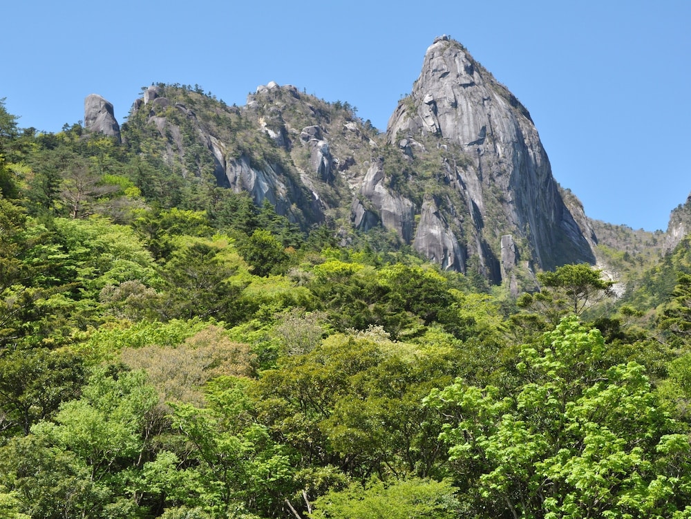 アパホテル〈宮崎延岡中央〉 宮崎
