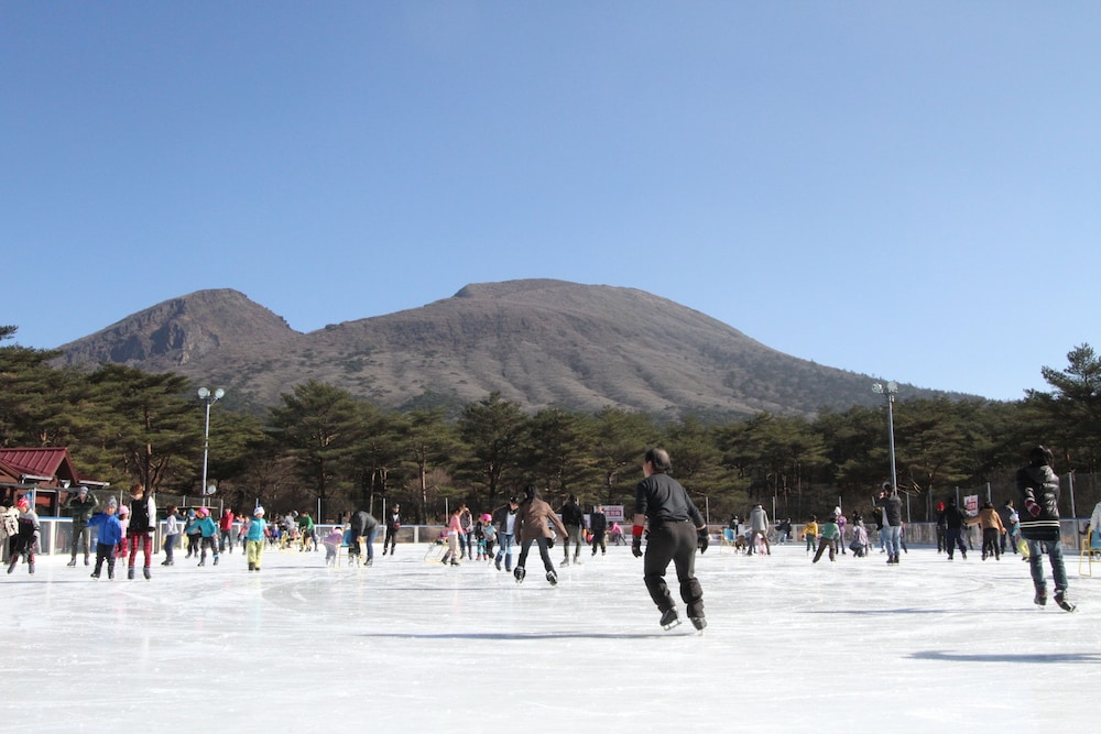 えびの高原荘 宮崎