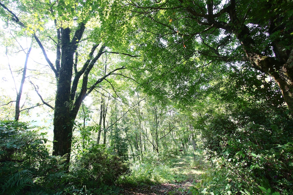 五ヶ瀬の里キャンプ村＆ゲストハウス 宮崎