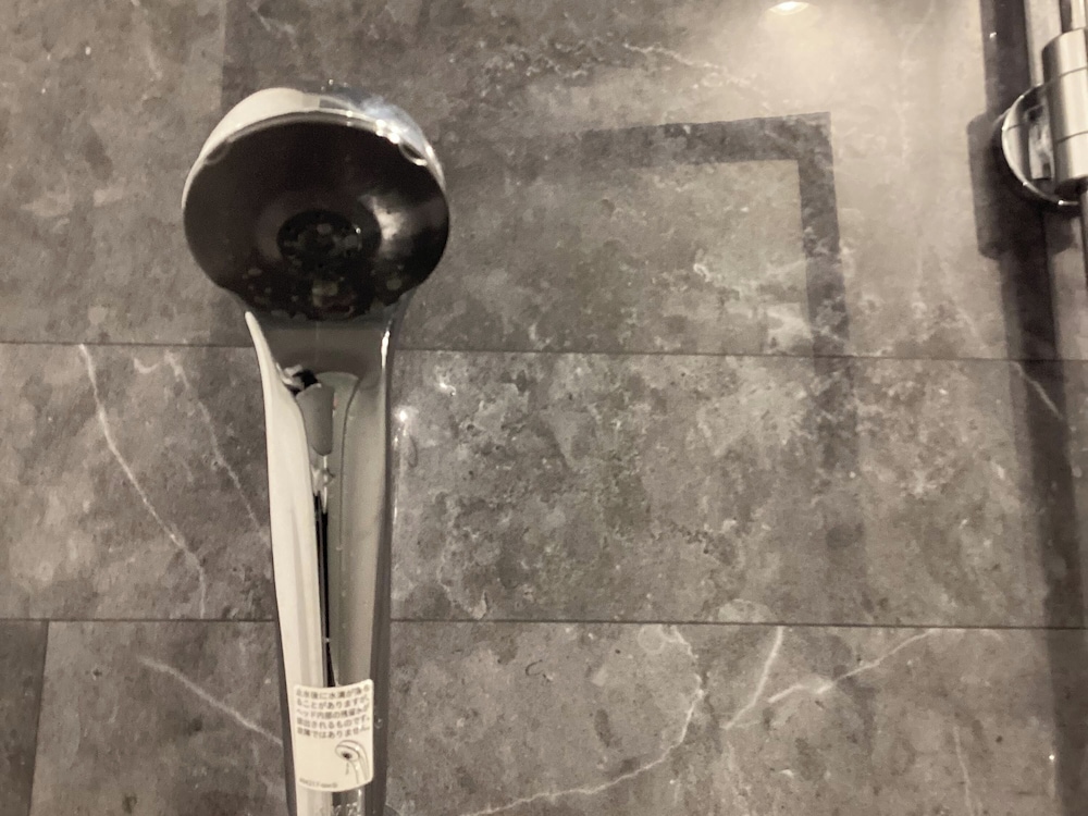 プリンス スマート イン 宮崎 宮崎