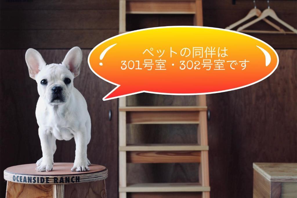 Oceanside Ranch Miyazaki 宮崎