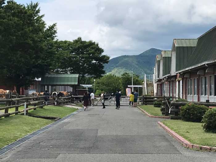アクティブリゾーツ 霧島 鹿児島