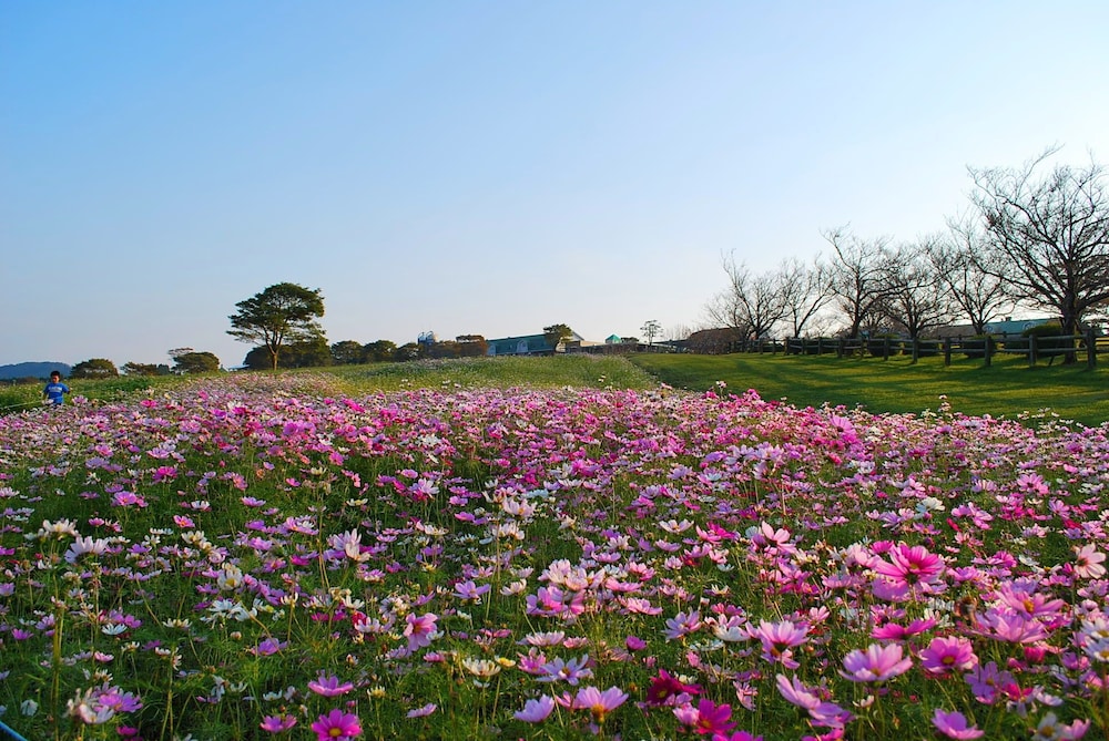 霧島国際ホテル 鹿児島