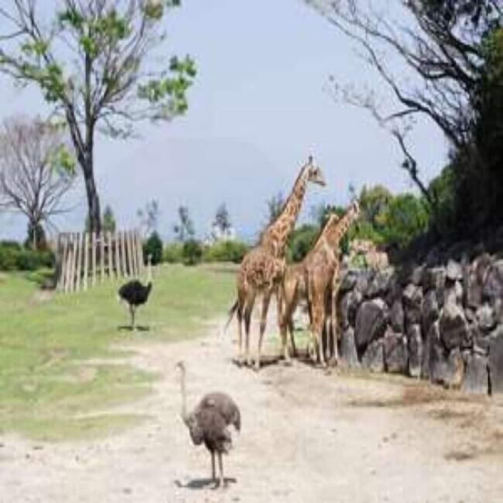ホテル ユニオン 鹿児島