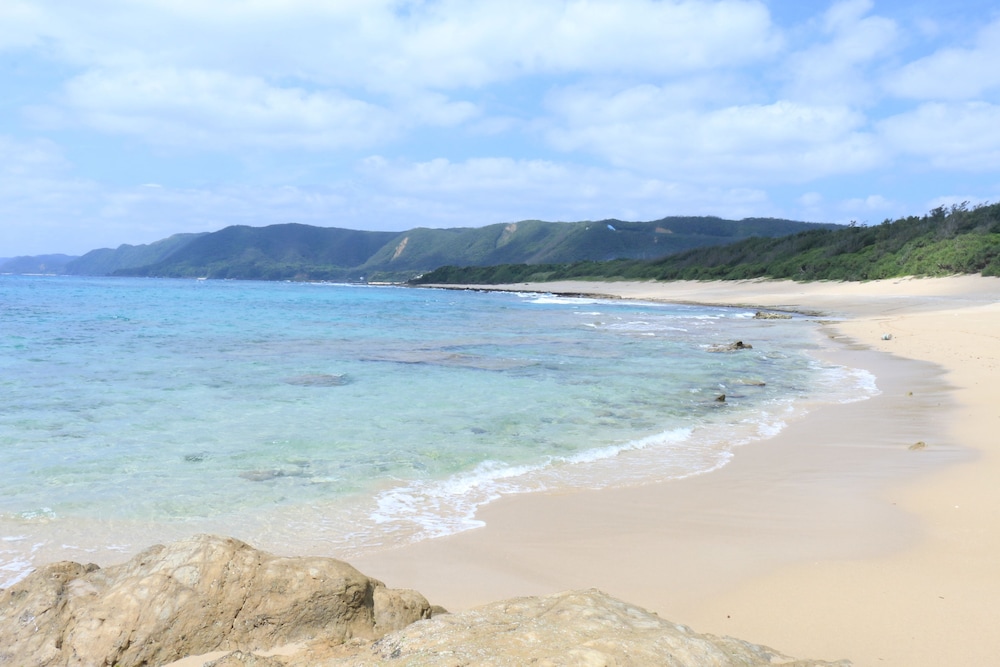 コーラル パームス 鹿児島