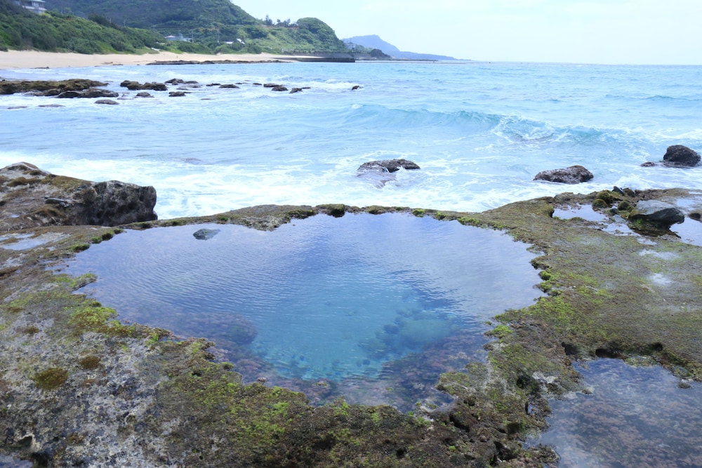 コーラル パームス 鹿児島
