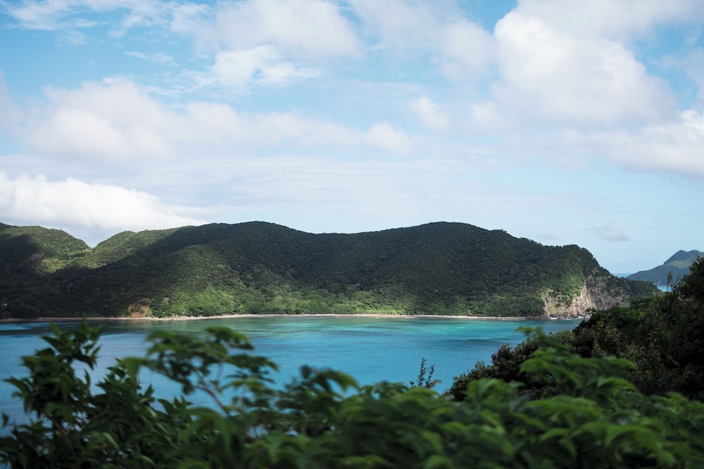 コーラル パームス 鹿児島