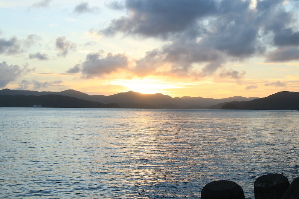コーラル パームス 鹿児島