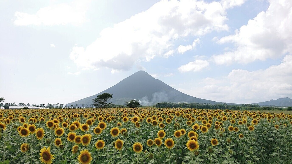 指宿いわさきホテル 鹿児島