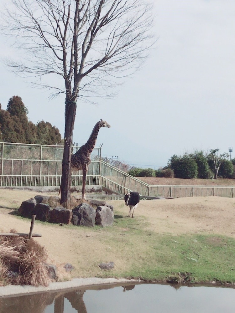 ホテル法華クラブ鹿児島 鹿児島