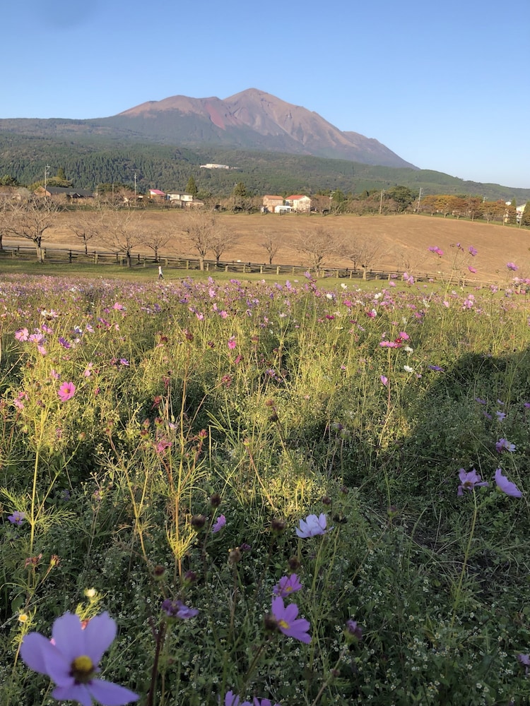 ヴィラ モンペトル 鹿児島