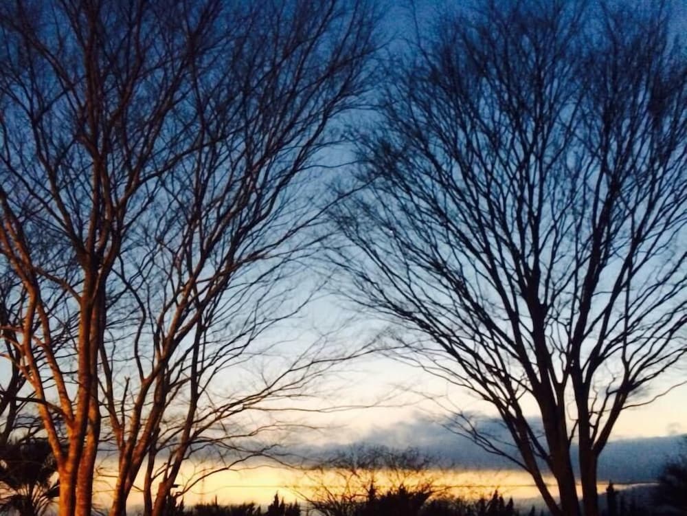 ライラック ホテルズ アンド リゾート 鹿児島