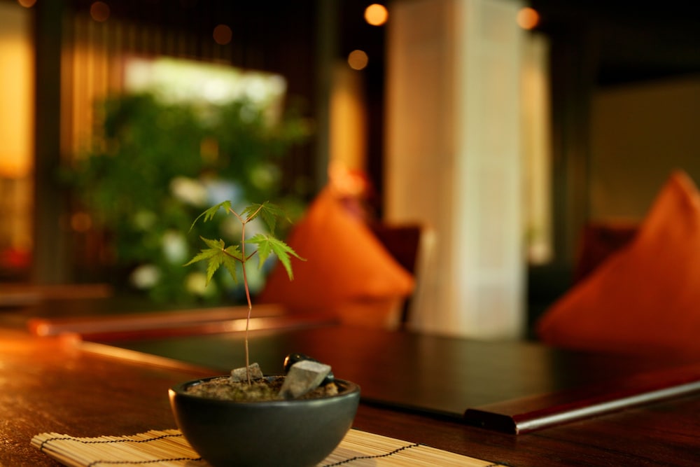 手塚RYOKAN 鹿児島