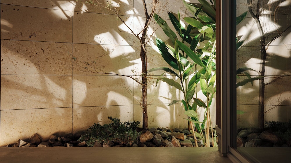 種子島あらき別館 鹿児島