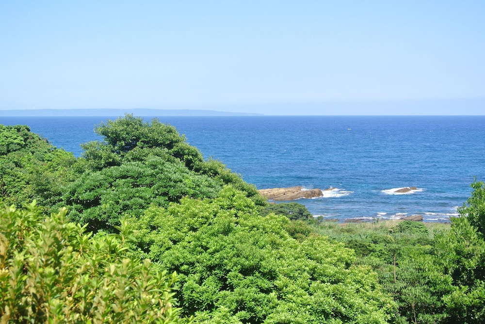 屋久島グリーンホテル 奄美大島
