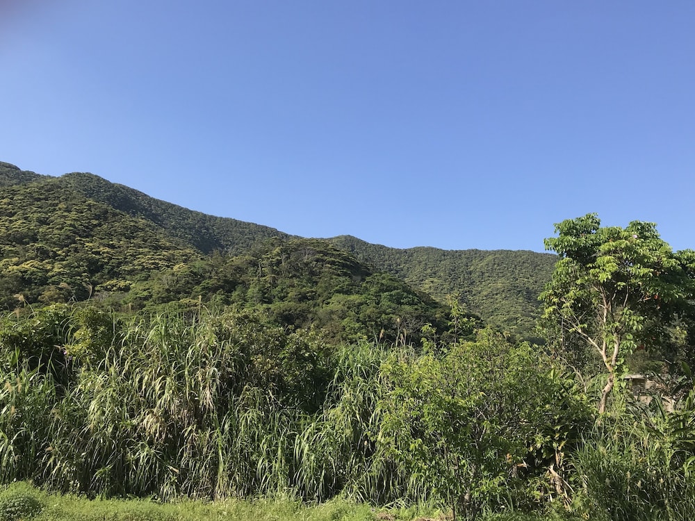 リゾネッチャヴィラ・イン・嘉鉄 奄美大島