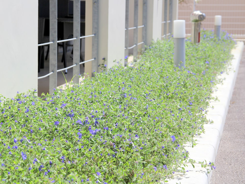 ホテル　ライジング サン 宮古島 宮古
