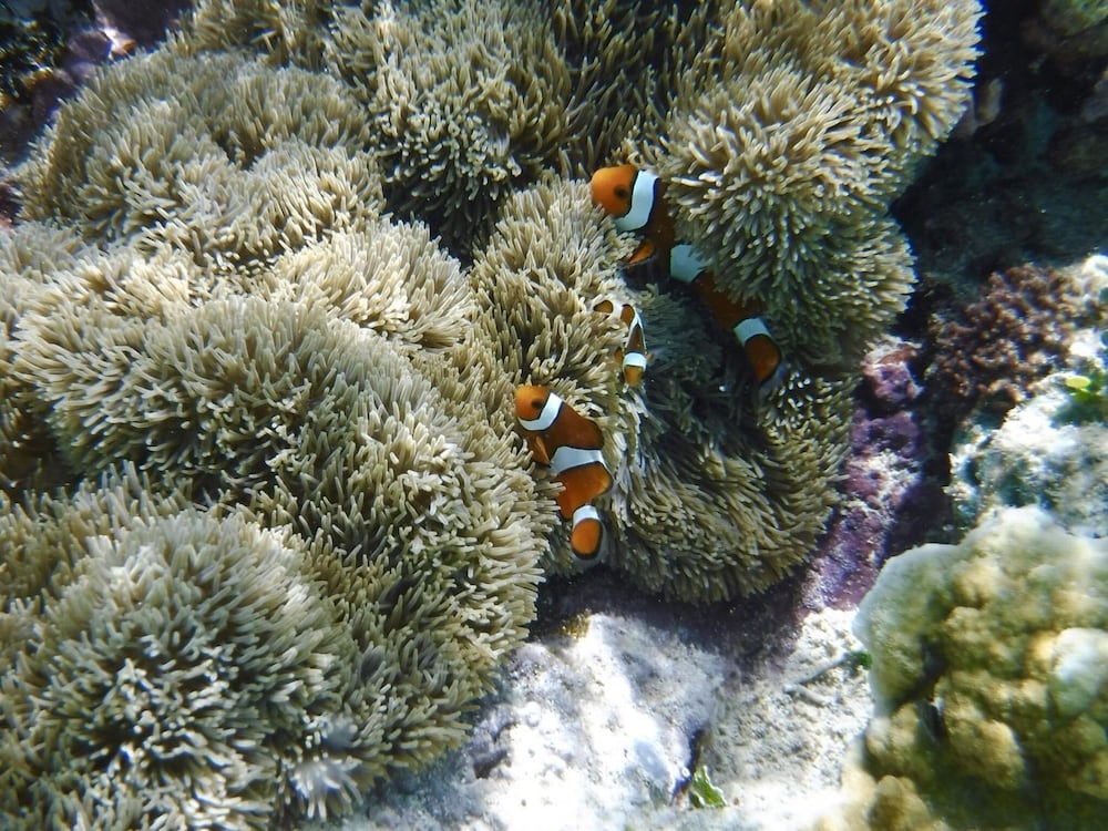 ゲストハウス UMIOTO 宮古