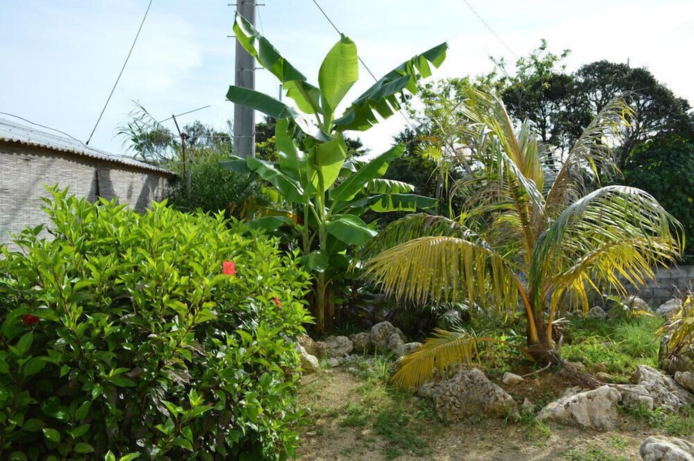 よんなよんな 宮古