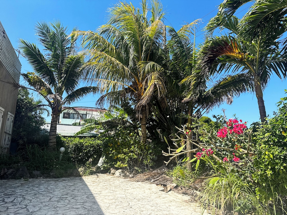 よんなよんな 宮古