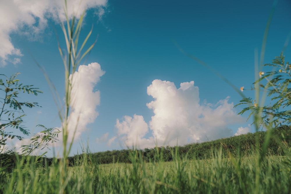 BLANC MIYAKOJIMA（旧：RUGU GLAMPING RESORT） 宮古