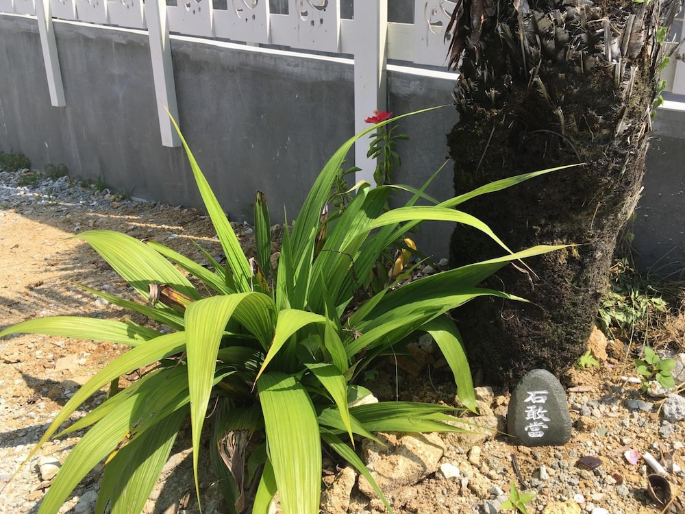 島んちゅゲストハウス 結縁 宮古