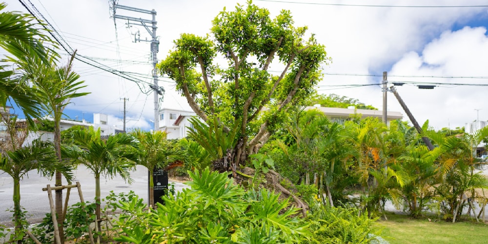 親慶原テラス 宮古