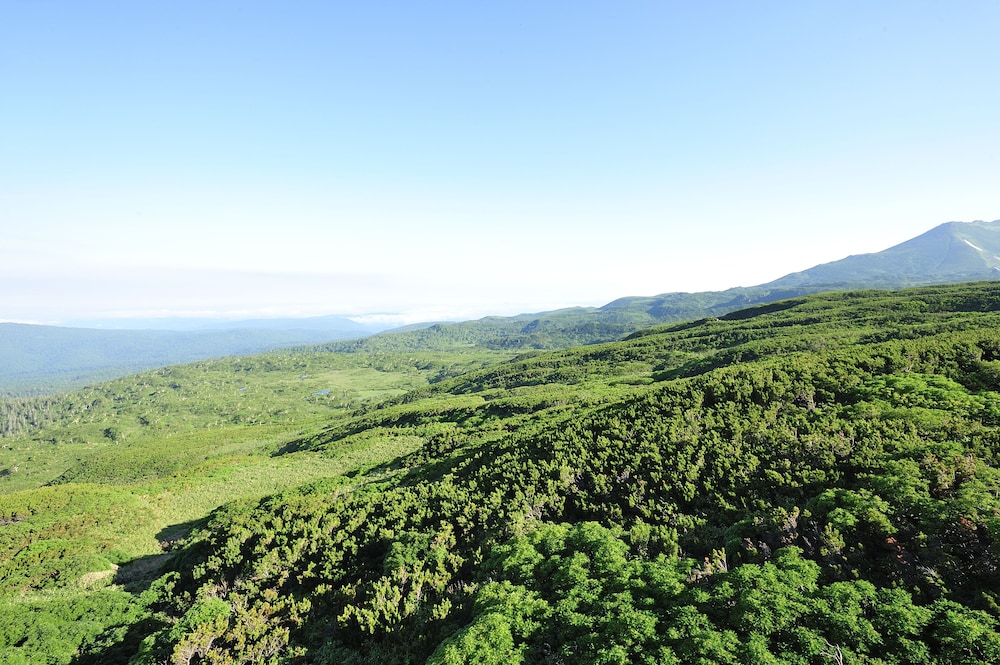 旭岳温泉 ホテルディアバレー 旭川