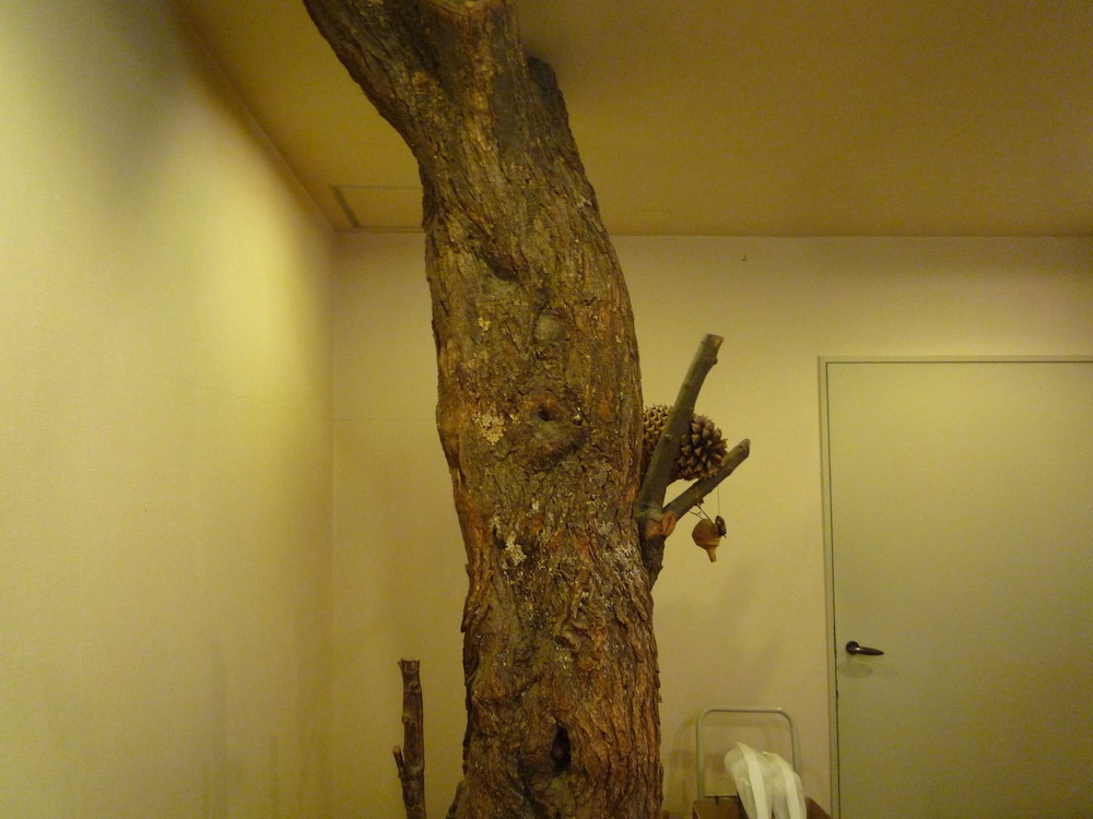 和風旅館扇松園 旭川