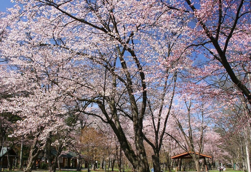 プレミアホテル ‐CABIN‐ 旭川 旭川