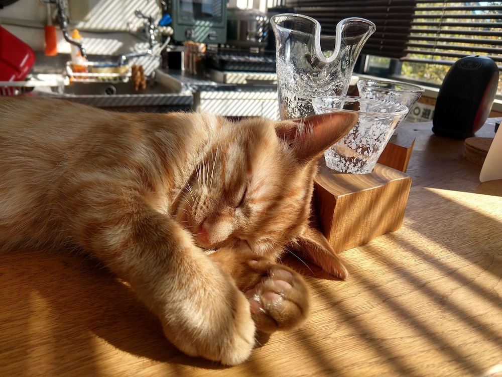 ゲストハウス アサヒカワライド 旭川