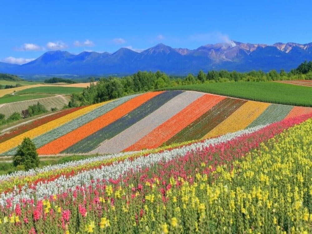 富良野ホップスホテル 旭川