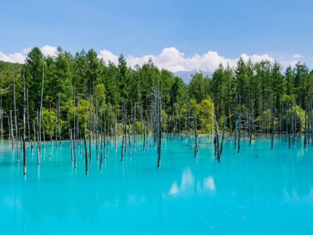 富良野ホップスホテル 旭川