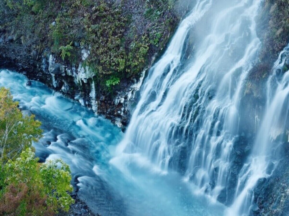 富良野ホップスホテル 旭川